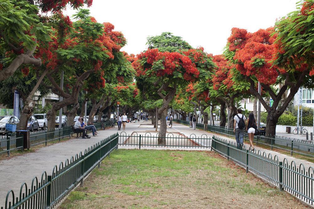תל אביב מלון בוטיק דה רוטשילד 71 מראה חיצוני תמונה